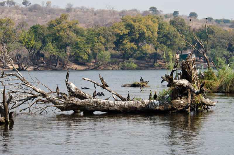 09 - Botswana - parque nacional de Chobe - paisaje